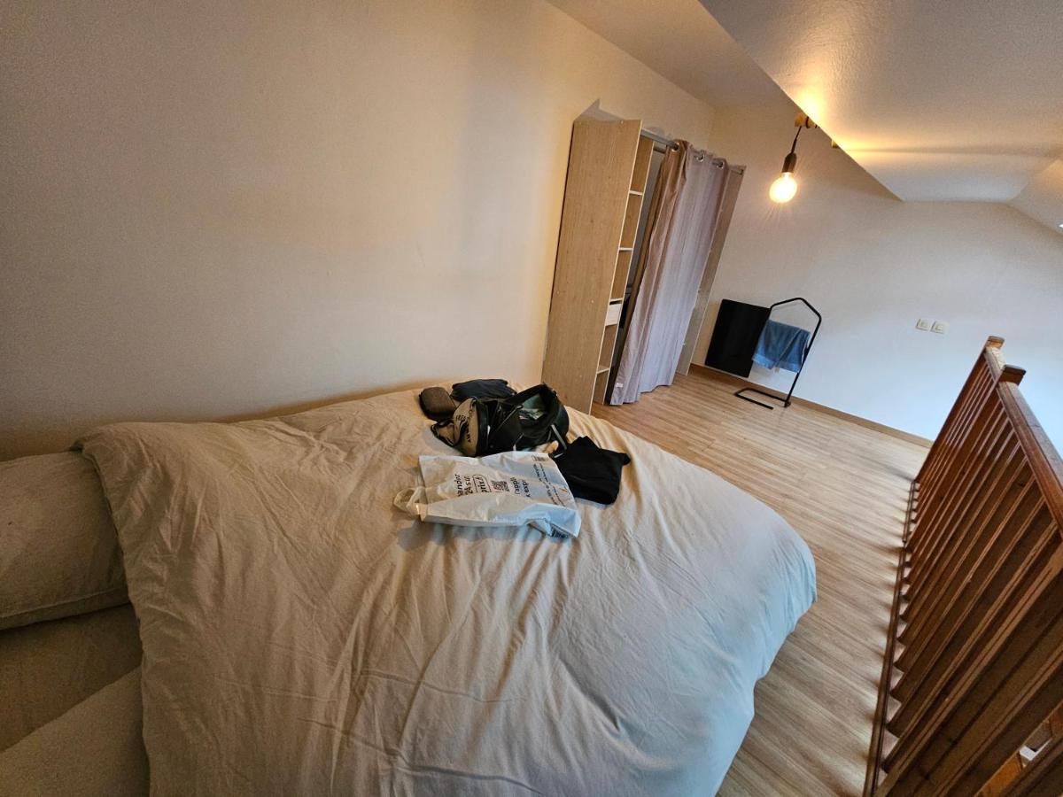 La Petite Maison Hébergement de vacances Schiltigheim